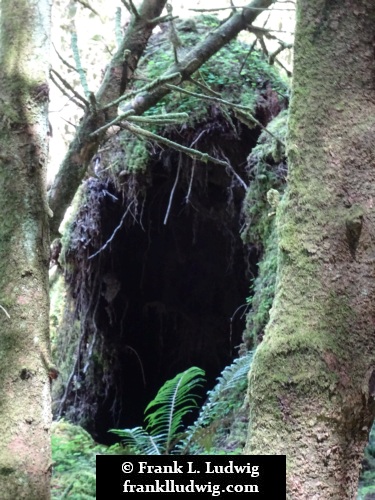 Cavan Burren